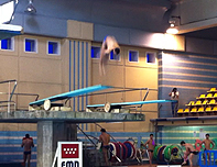 Grand Prix de Salto de FINA